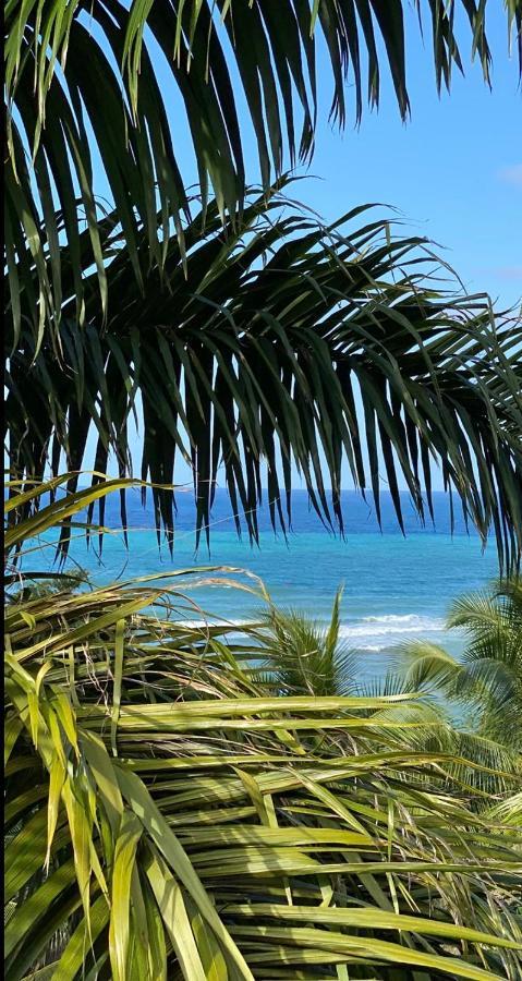 Spring Garden Mobay Resort Montego Bay Exterior foto